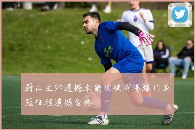 蔚山主帅遗憾未能攻破海港球门亚冠征程遗憾告终