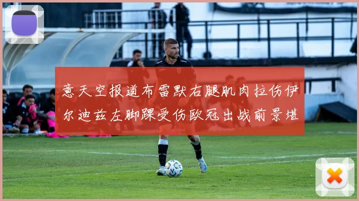意天空报道布雷默右腿肌肉拉伤伊尔迪兹左脚踝受伤欧冠出战前景堪忧