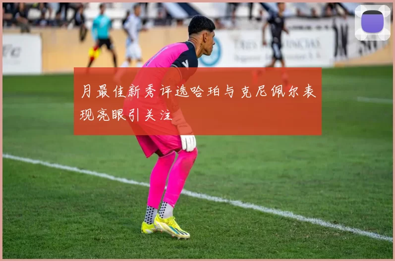 月最佳新秀评选哈珀与克尼佩尔表现亮眼引关注