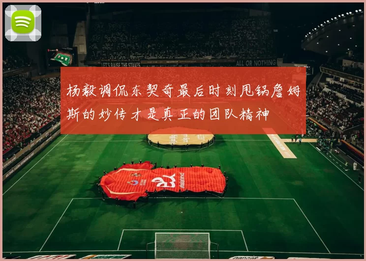 杨毅调侃东契奇最后时刻甩锅詹姆斯的妙传才是真正的团队精神